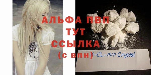 скорость Новозыбков