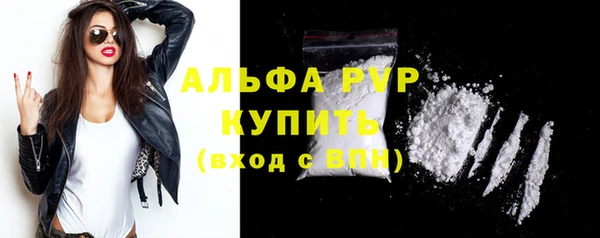 скорость Новозыбков