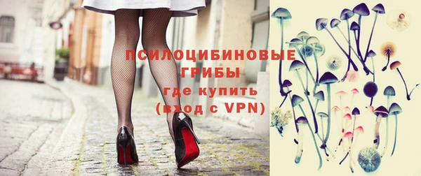 a pvp Новодвинск